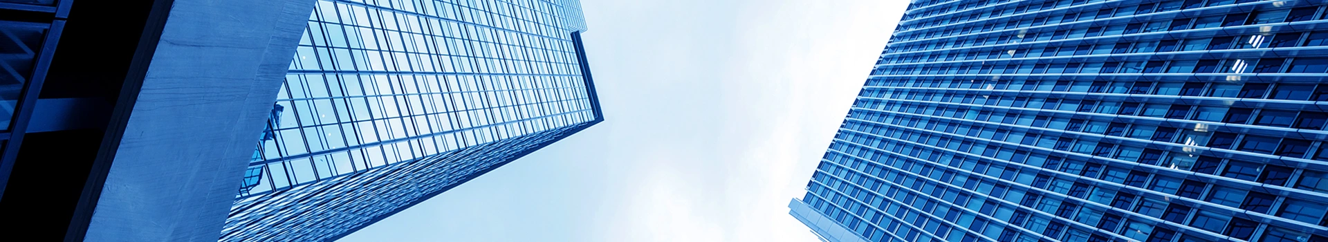 Купуялык саясаты